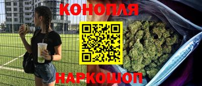 крисы Партизанск